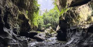 TOOBALI TOUR AND TRAVEL