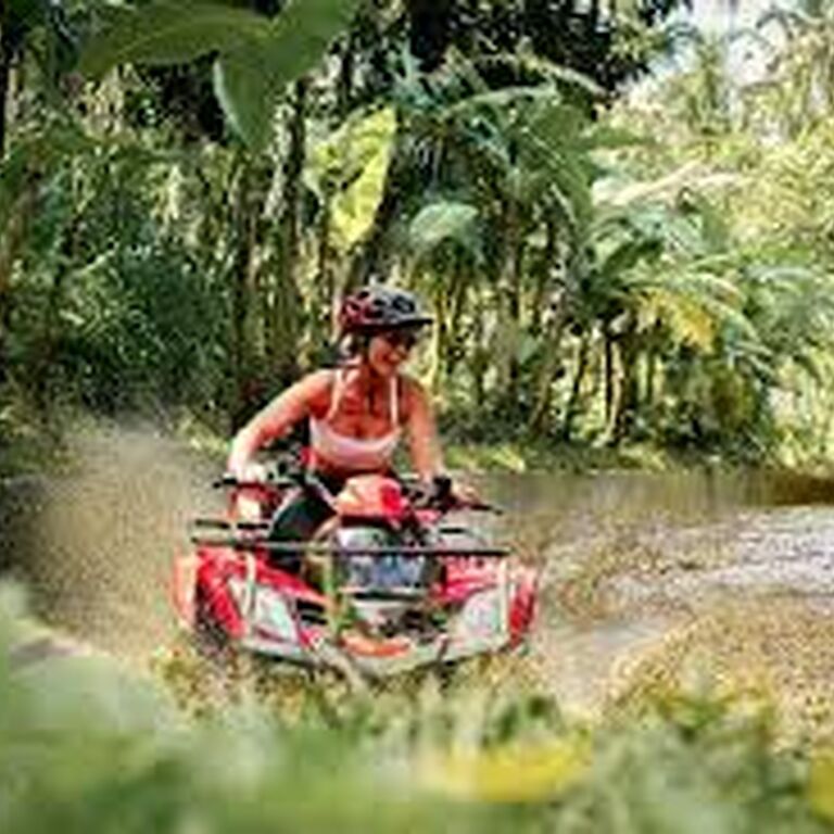 TOOBALI TOUR AND TRAVEL
