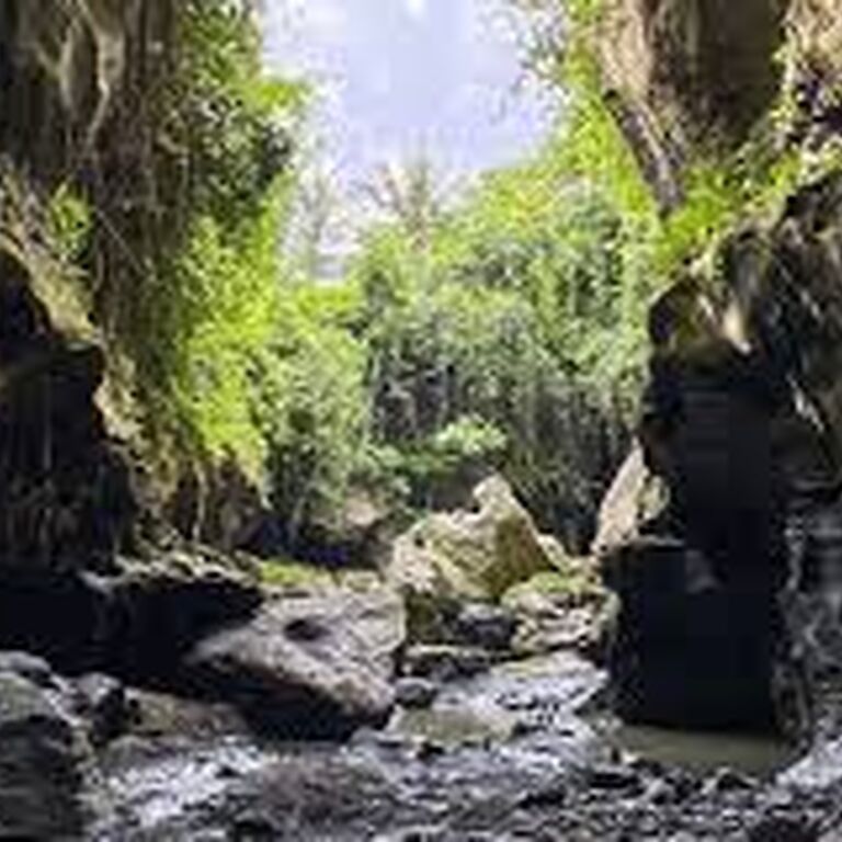 TOOBALI TOUR AND TRAVEL