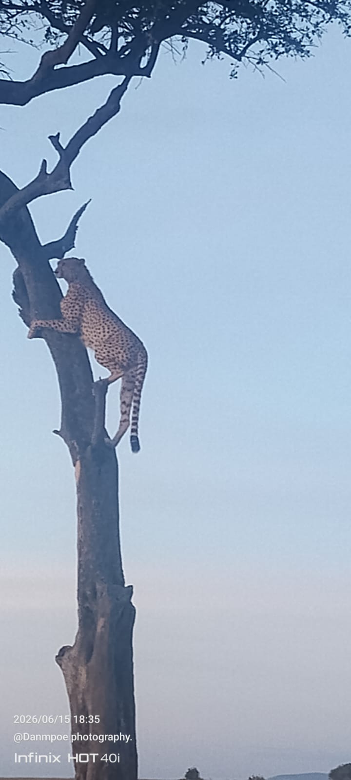 Kenya Safari Adventures