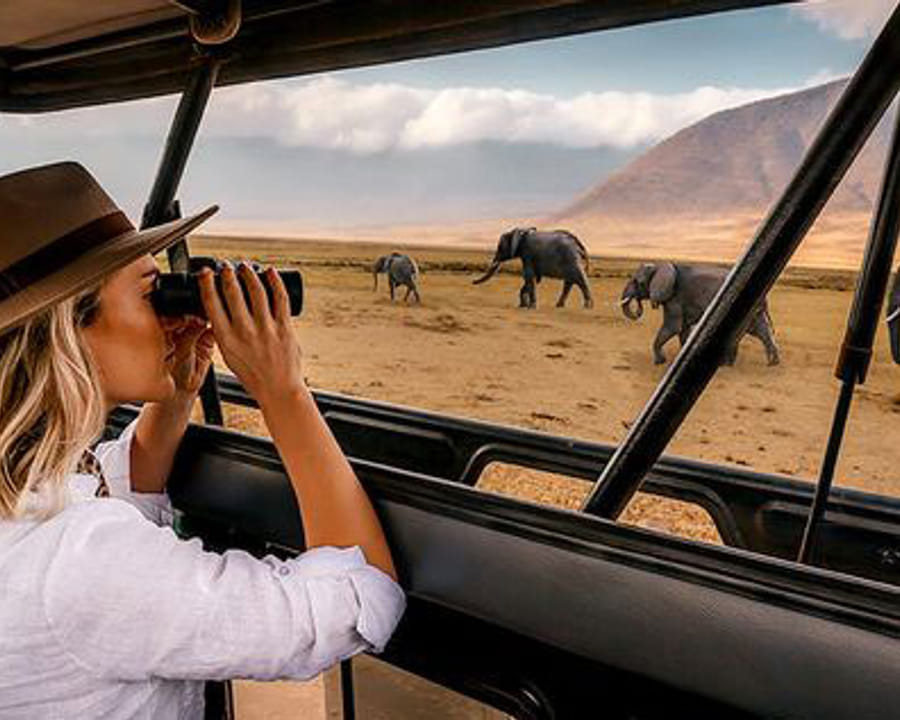 Alaitol Safaris