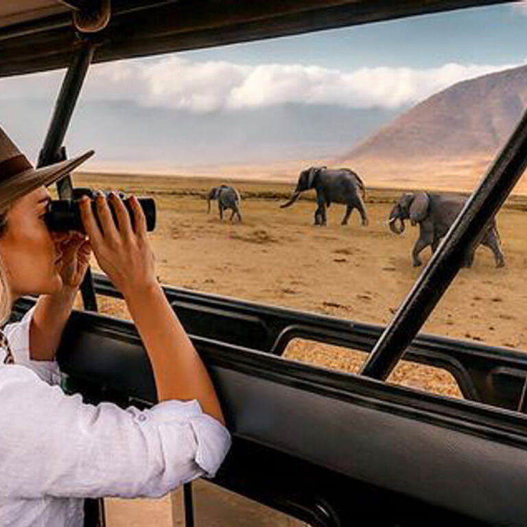 Alaitol Safaris