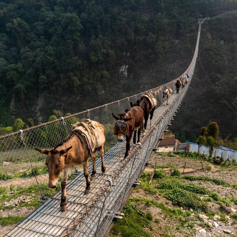 Swissa Adventure Travel