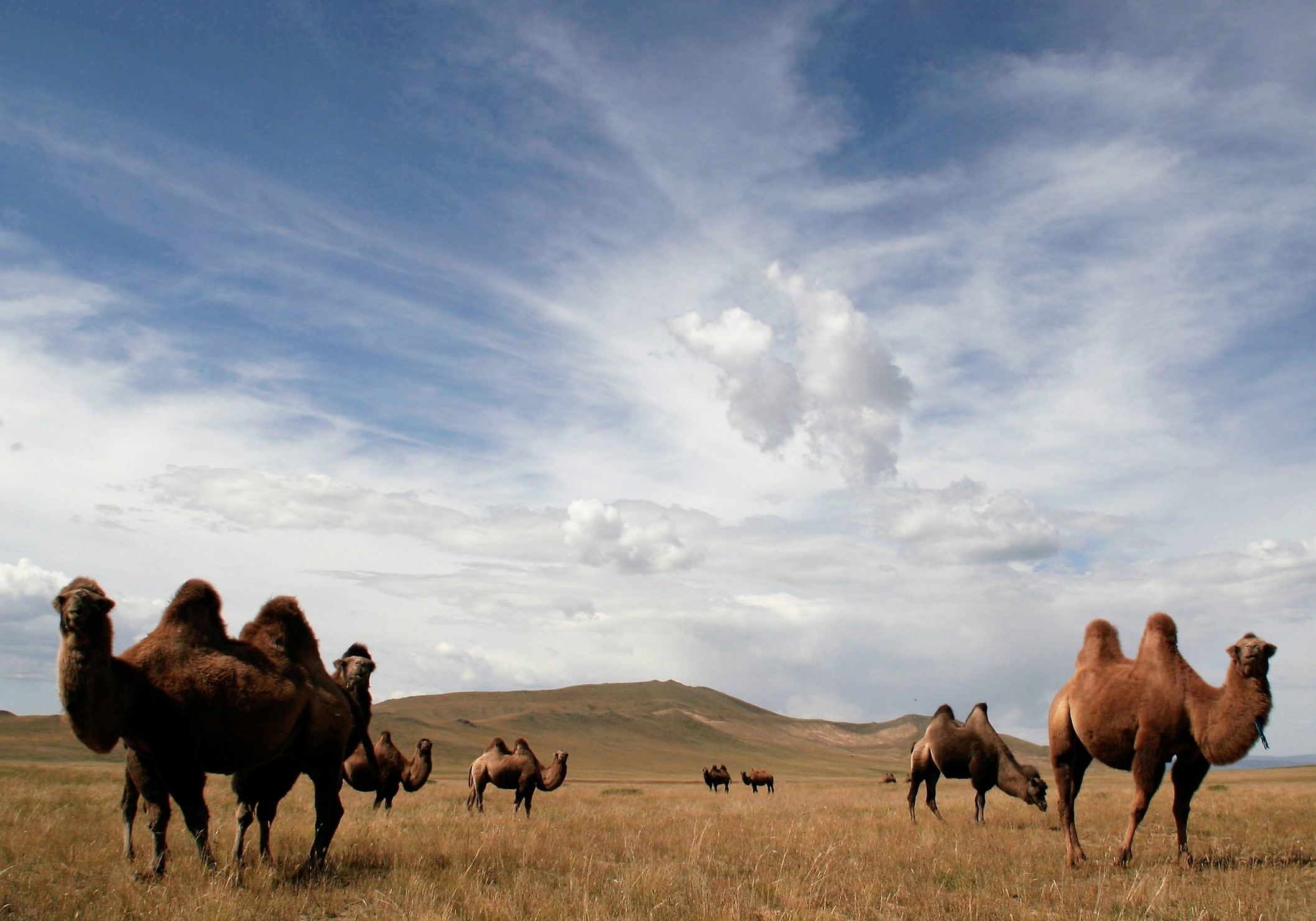 Zavkhan Trekking