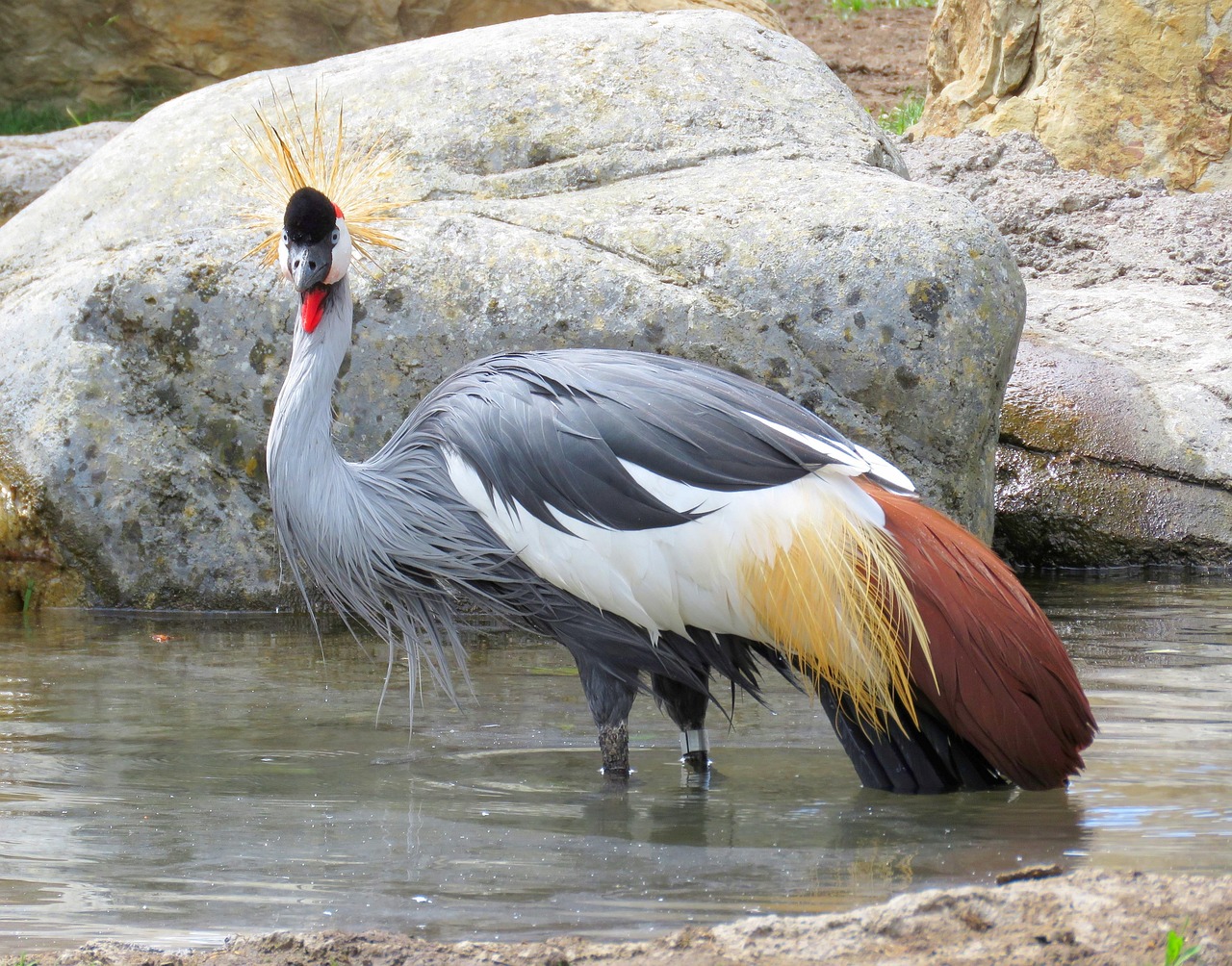 Riverstone Tours Uganda