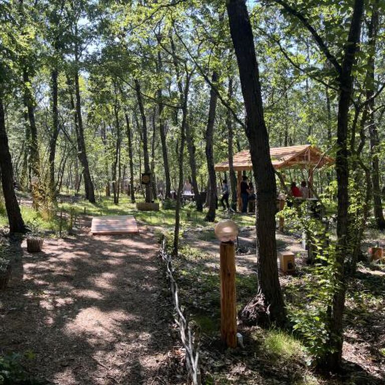 Adventure Park Bellevue
