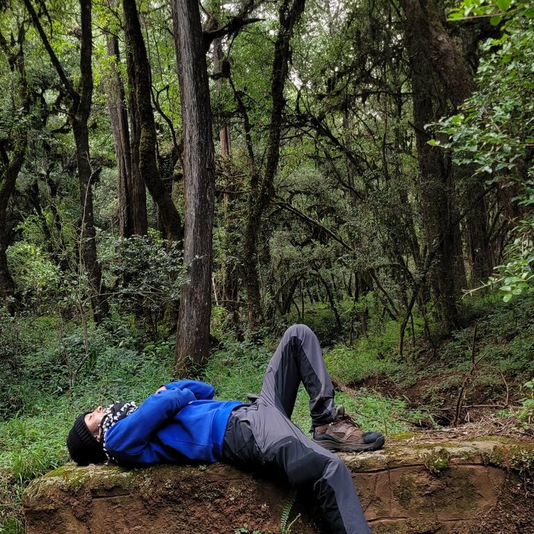 SAVANNA ETHIOPIA TRAVEL 🇪🇹