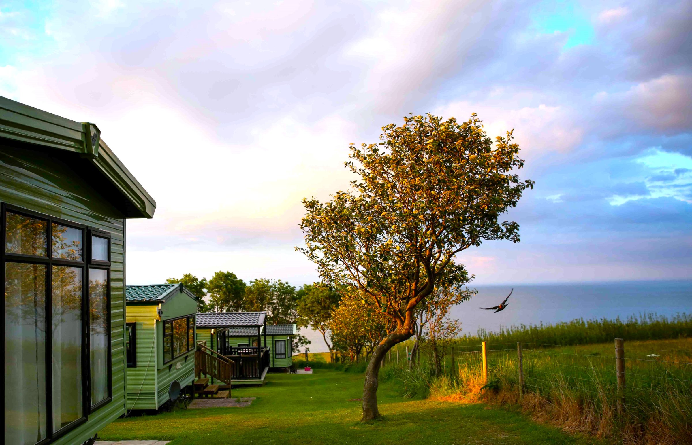 Northcliffe & Seaview Parks