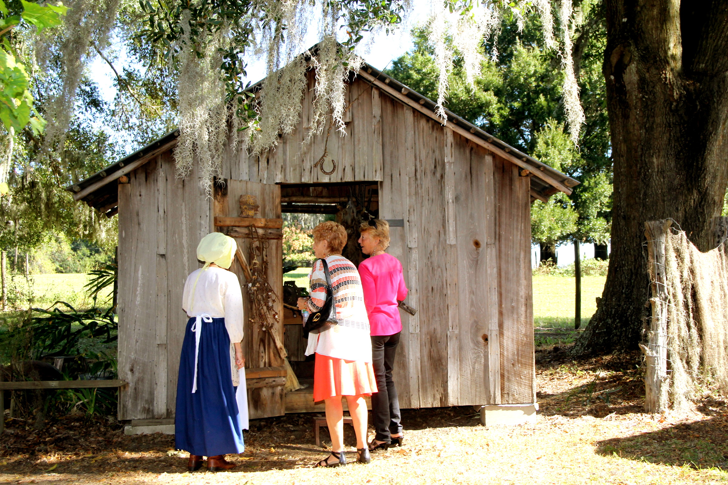 Pioneer Florida Museum