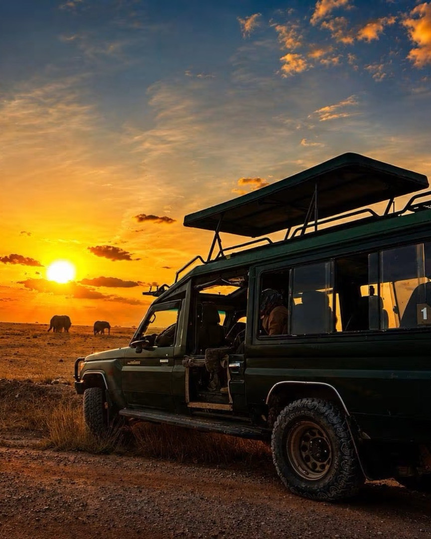Murife Kenya Safaris