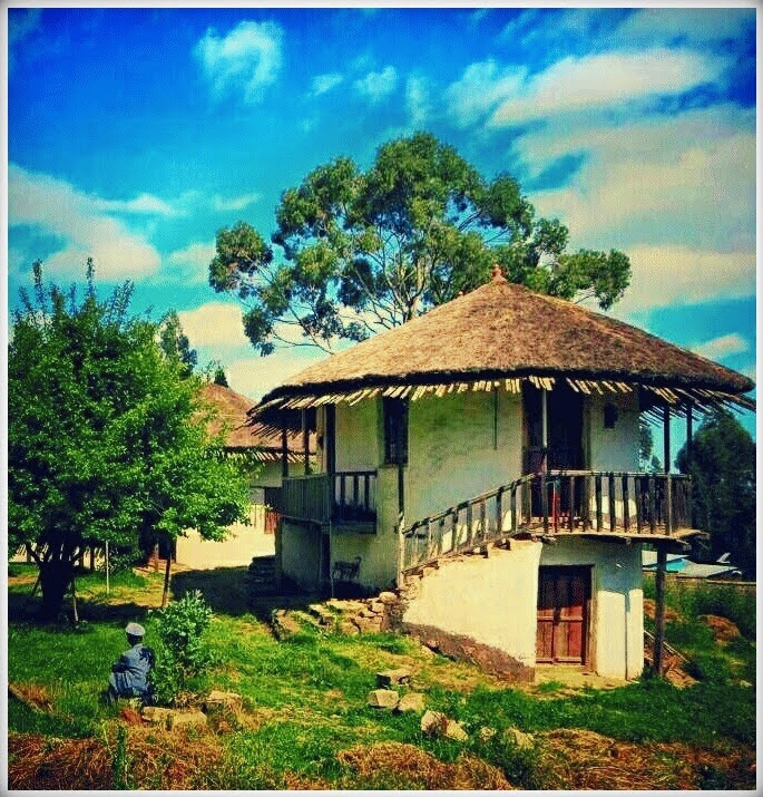 Entoto natural Park