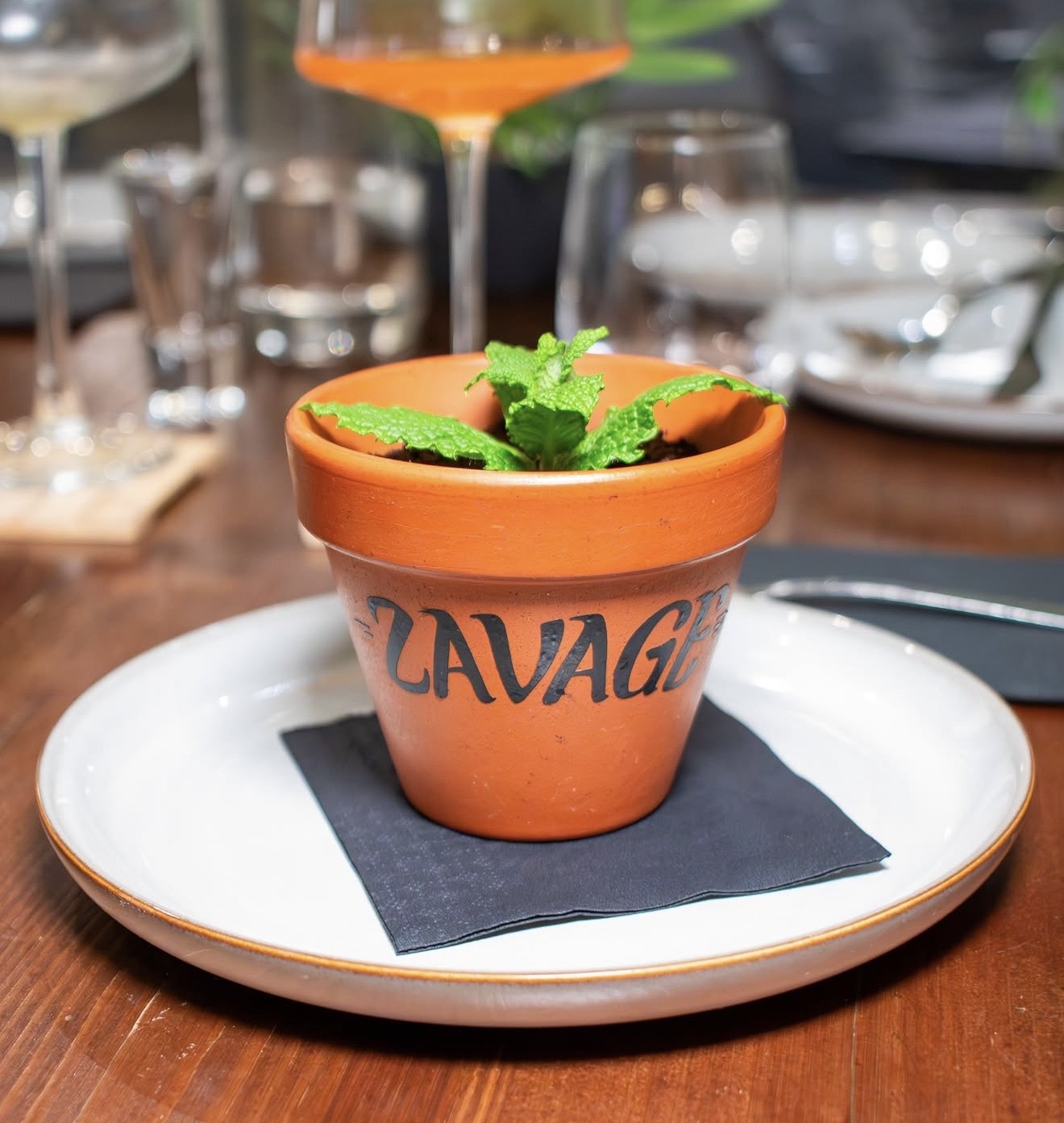 Zavage “food-drinks&fun”