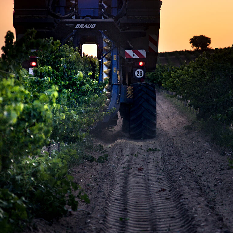 Bodega Cuatro Rayas