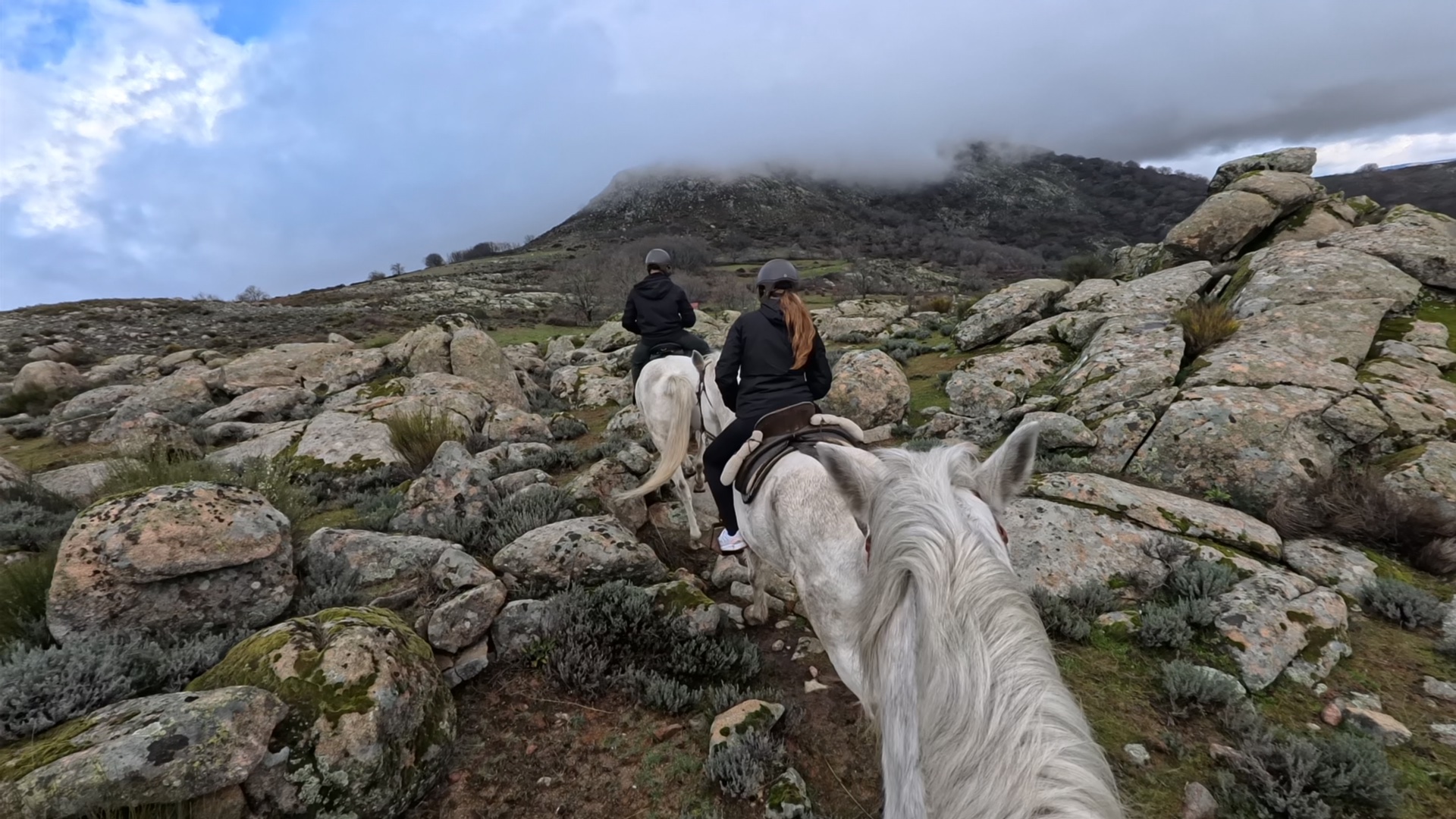 Naturgredos