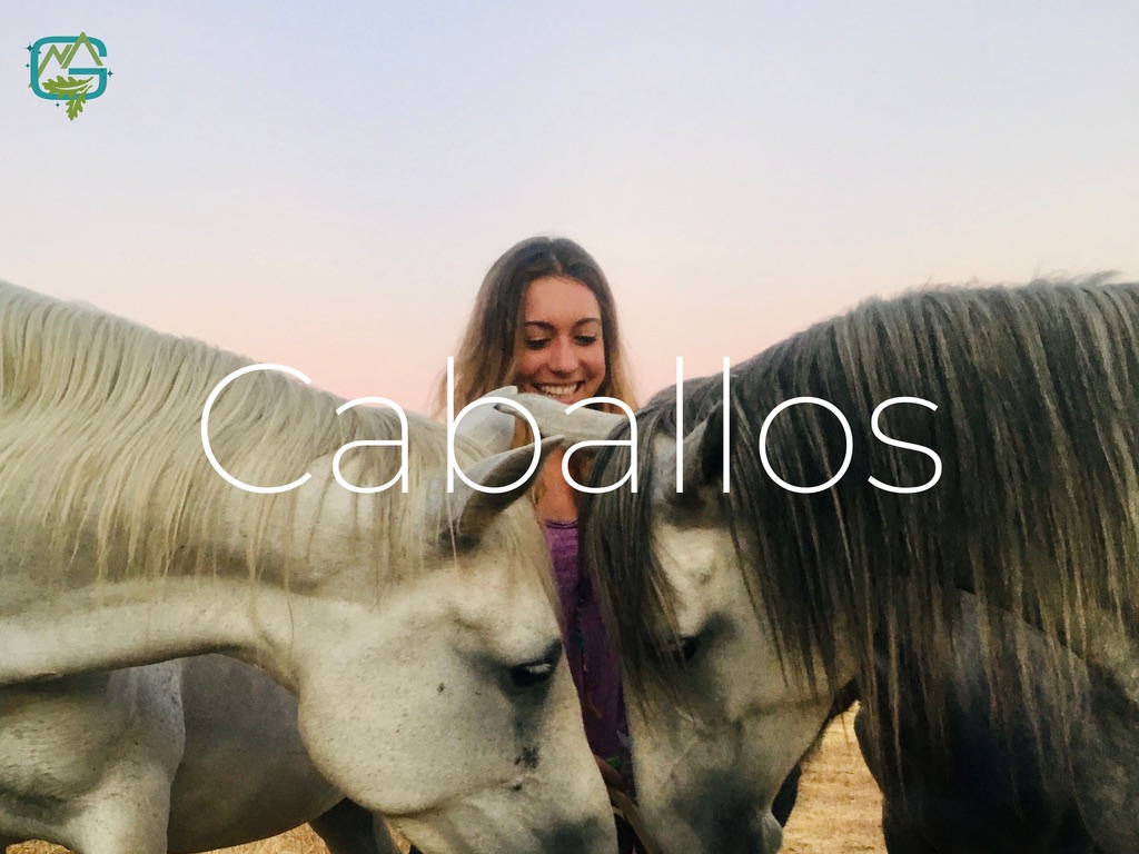 Naturgredos