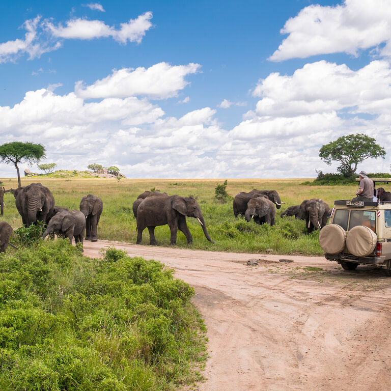 World Tours & Safaris Tanzania