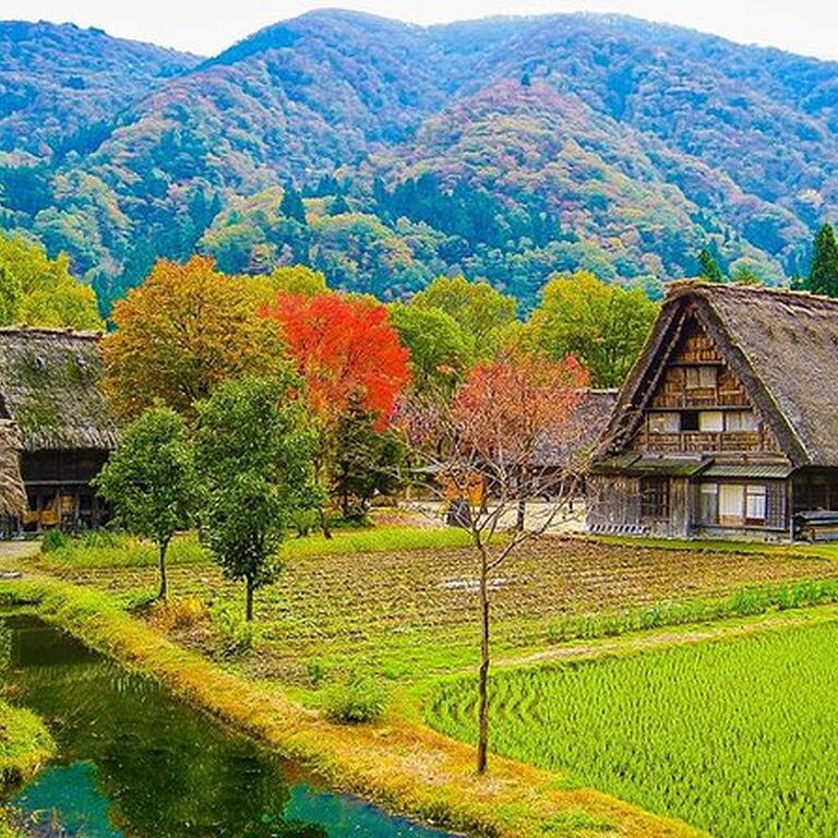 Tomotachi Tour