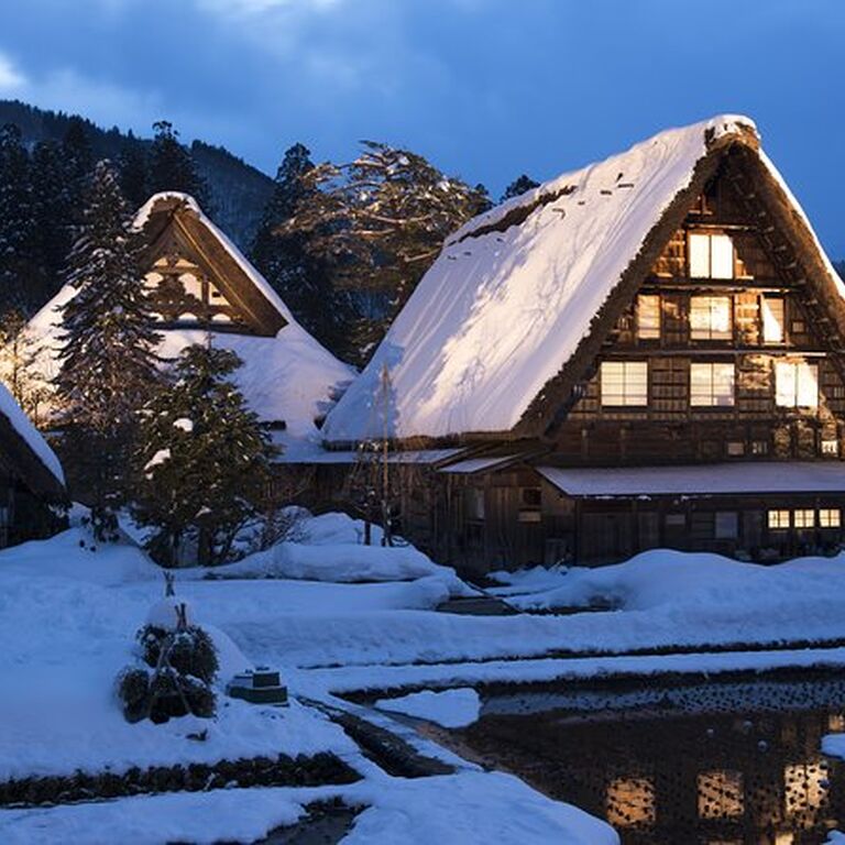 Tomotachi Tour