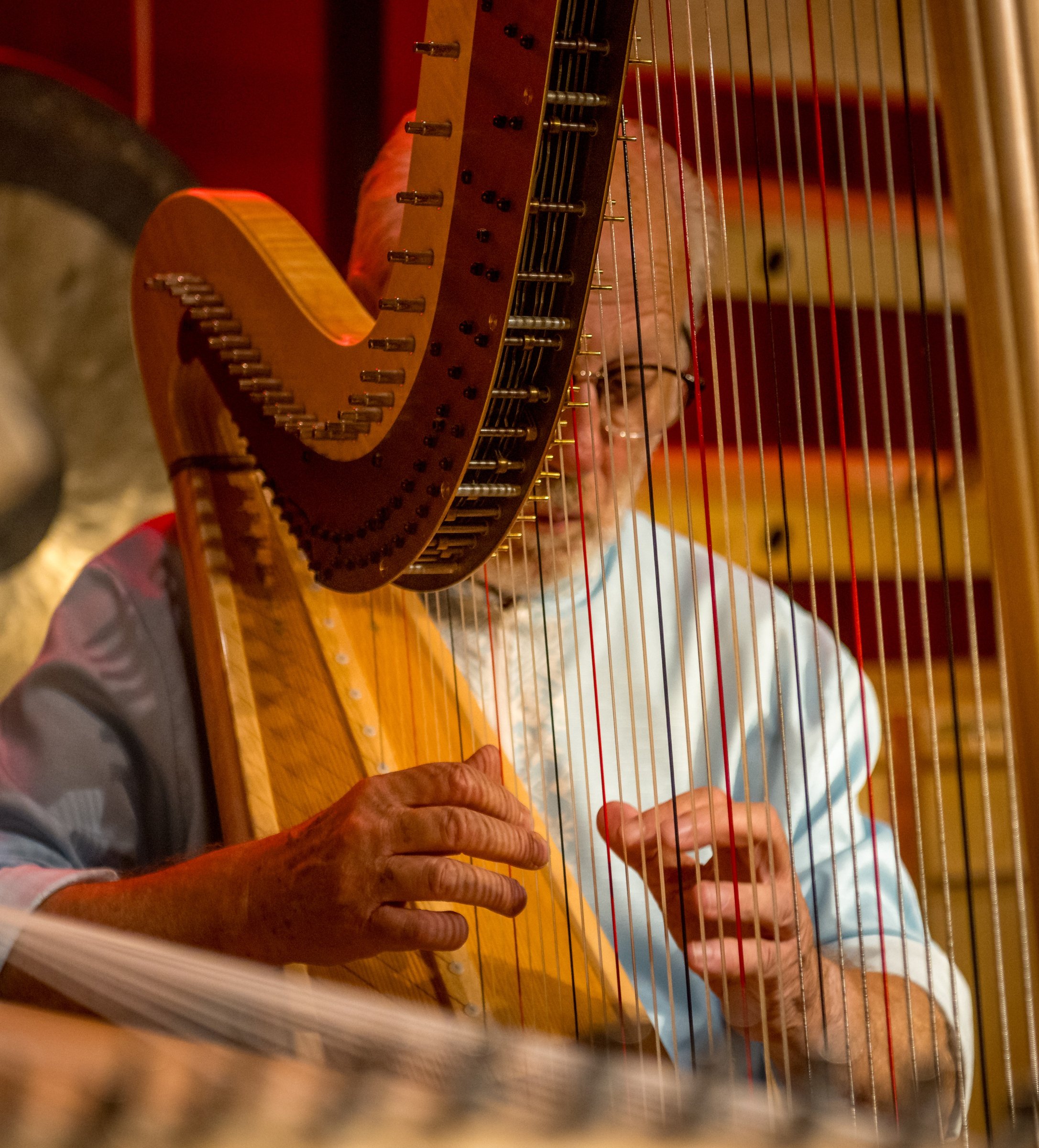Luc Vanlaere Harpist Concert