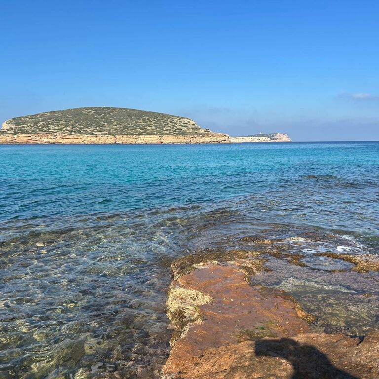 MEET THE SEA