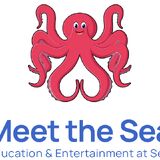 MEET THE SEA
