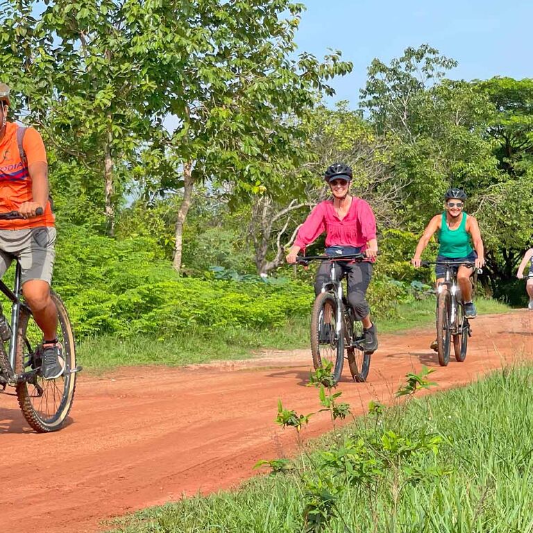 Elephant Bike Tours