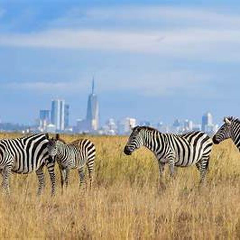 NAMSA Prestigious Tours