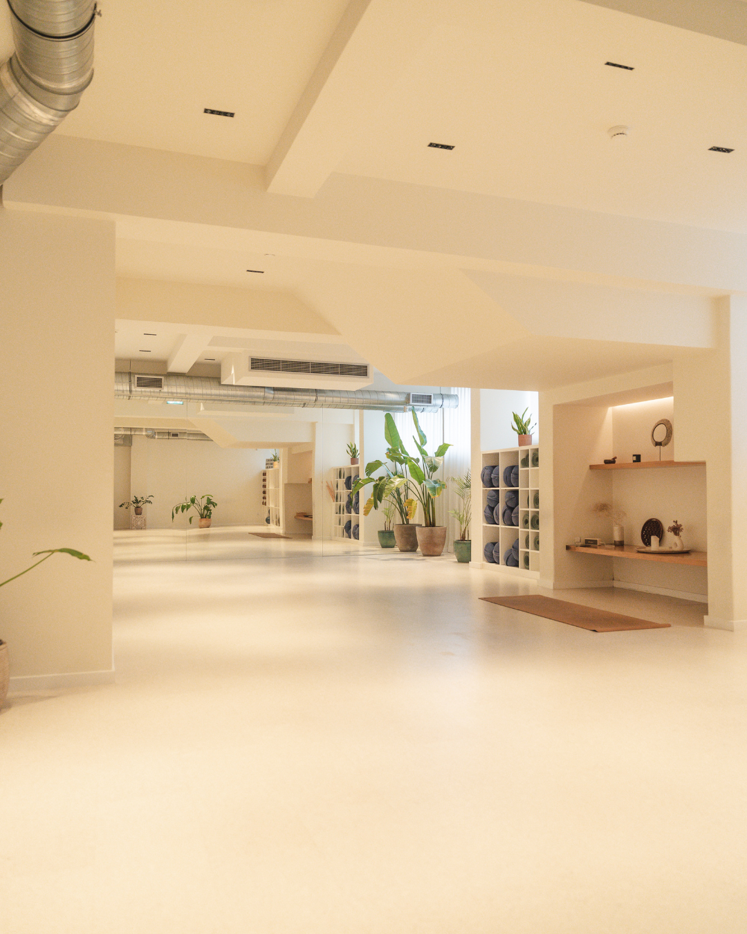 Mujō Wellness & Movement