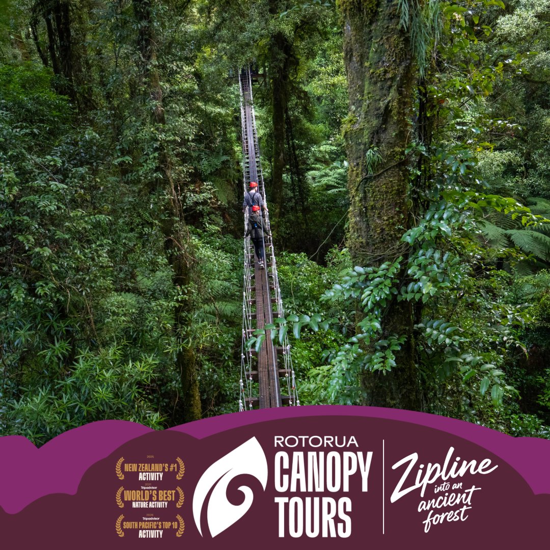 Rotorua Canopy Tours