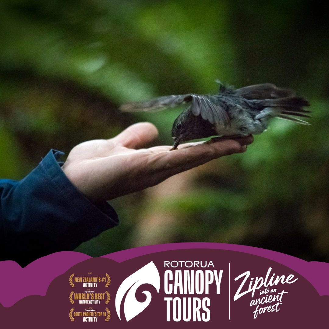Rotorua Canopy Tours