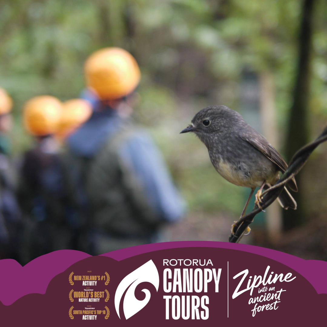 Rotorua Canopy Tours