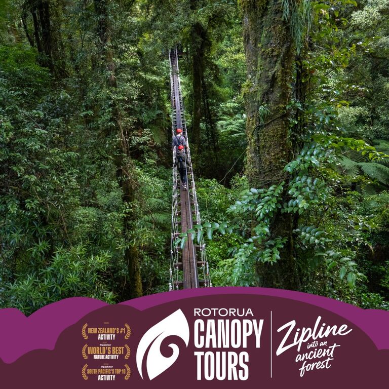 Rotorua Canopy Tours