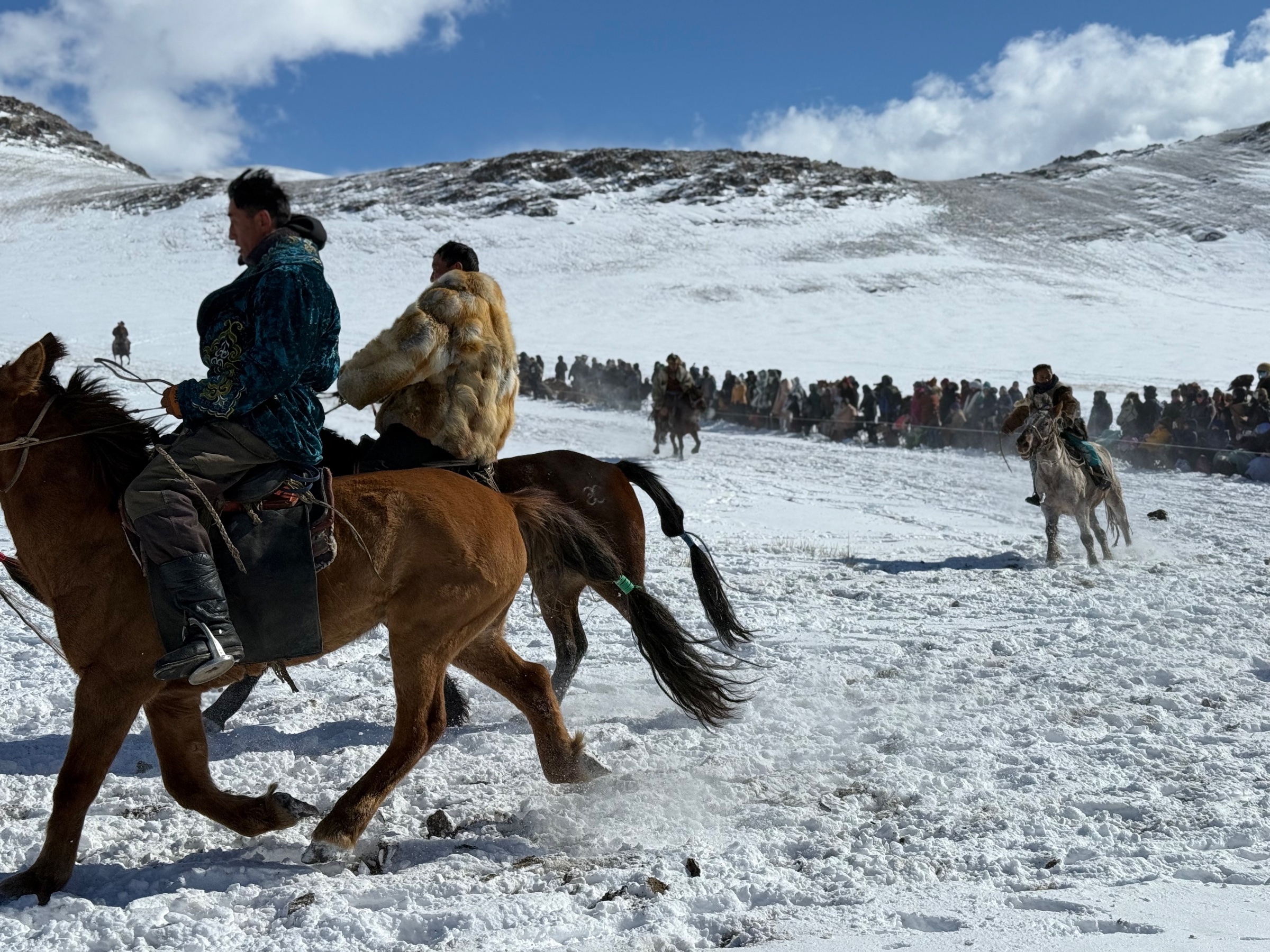 Grand Altai Travel agent
