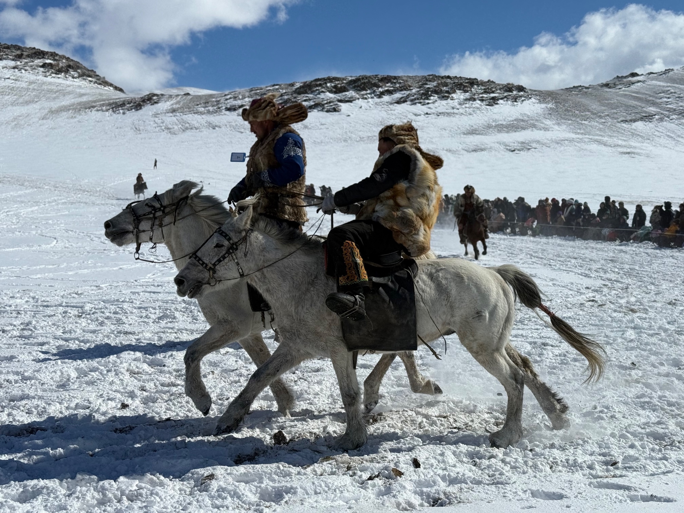 Grand Altai Travel agent