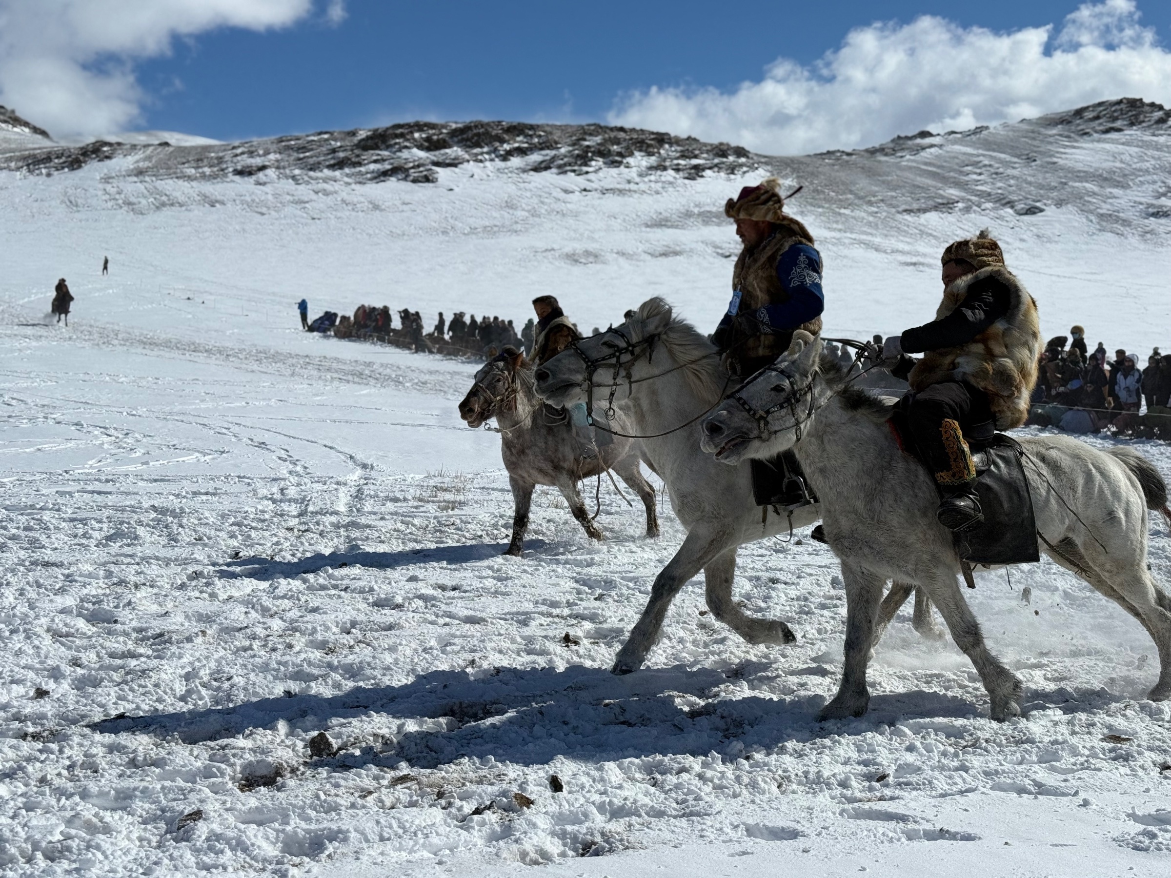 Grand Altai Travel agent