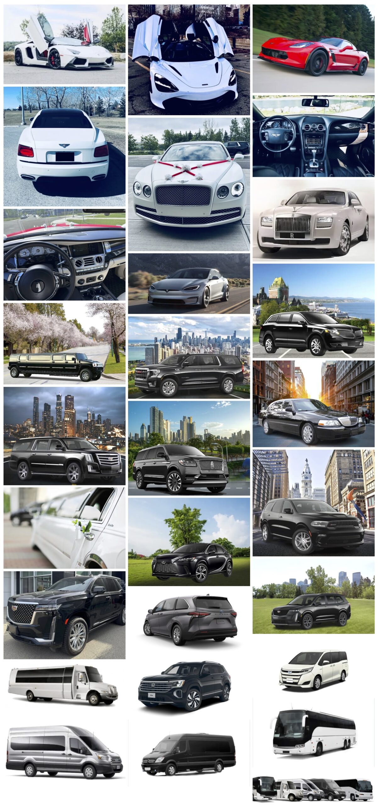 Ahmed Global Associates