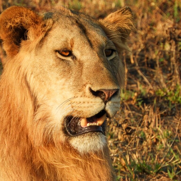 Tanzania Sod Experience Tours