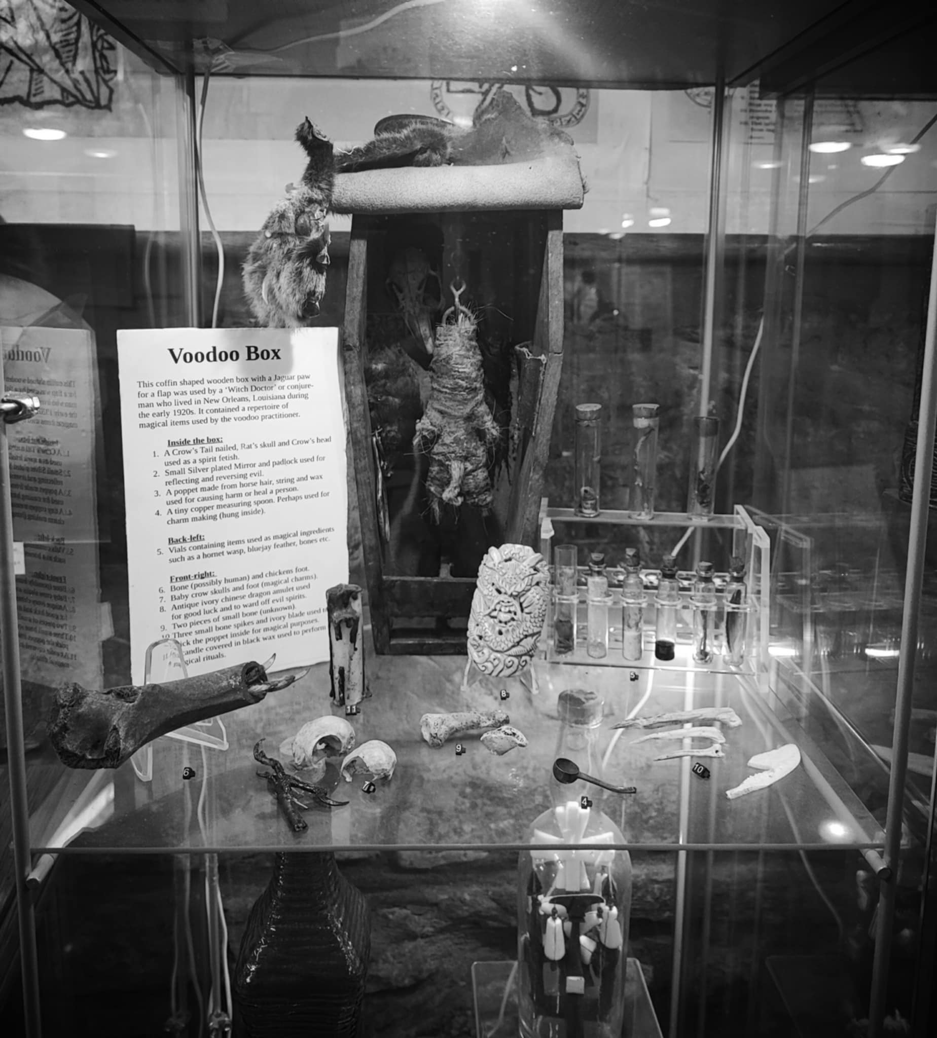 The Edinburgh Museum of Magic,