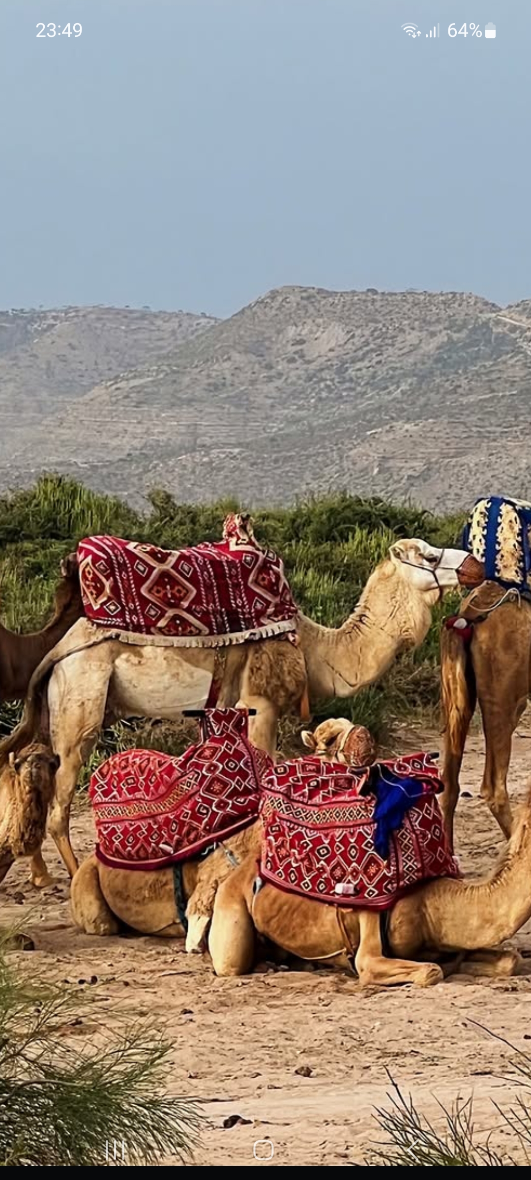 Adrar Hike
