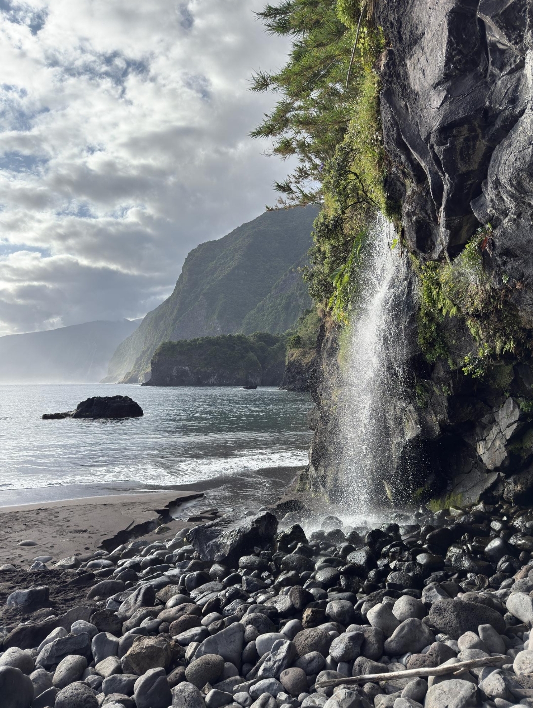 Wild Atlantic Madeira 4x4 offe