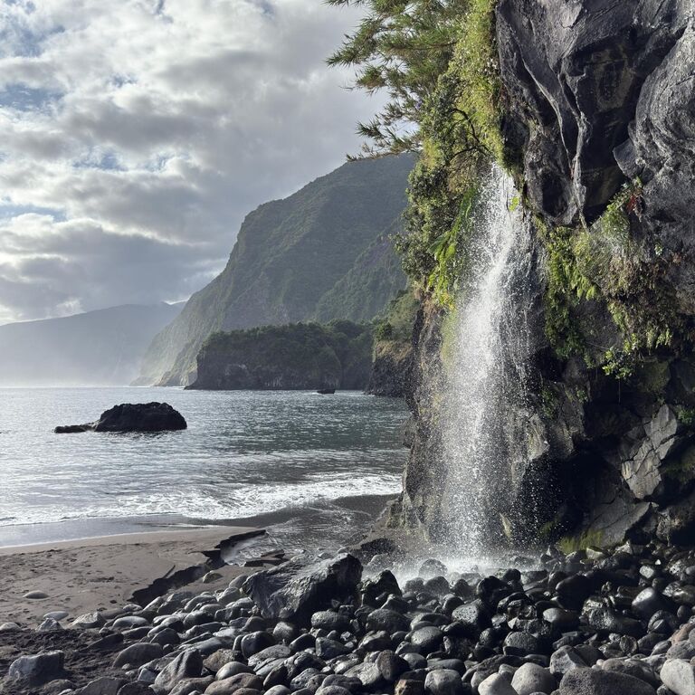 Wild Atlantic Madeira 4x4 offe