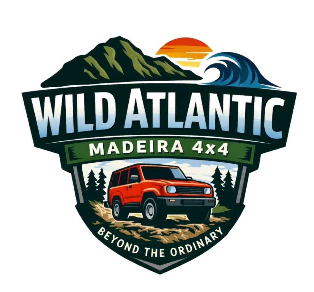 Wild Atlantic Madeira 4x4 offe