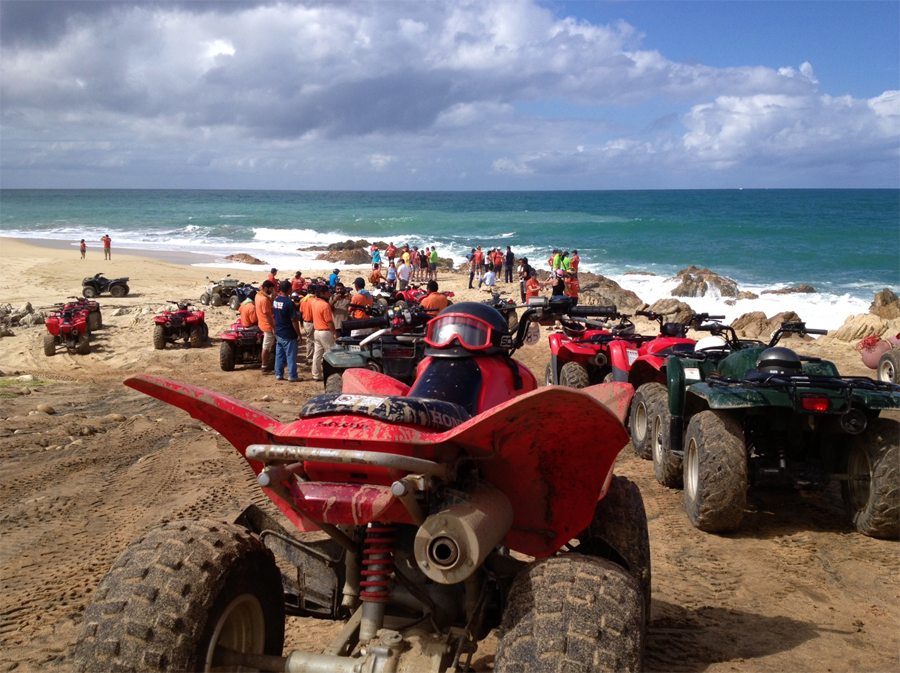 Best Cabo Tours LLC