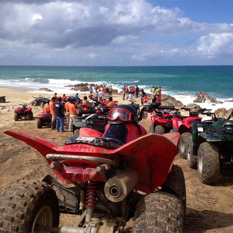 Best Cabo Tours LLC