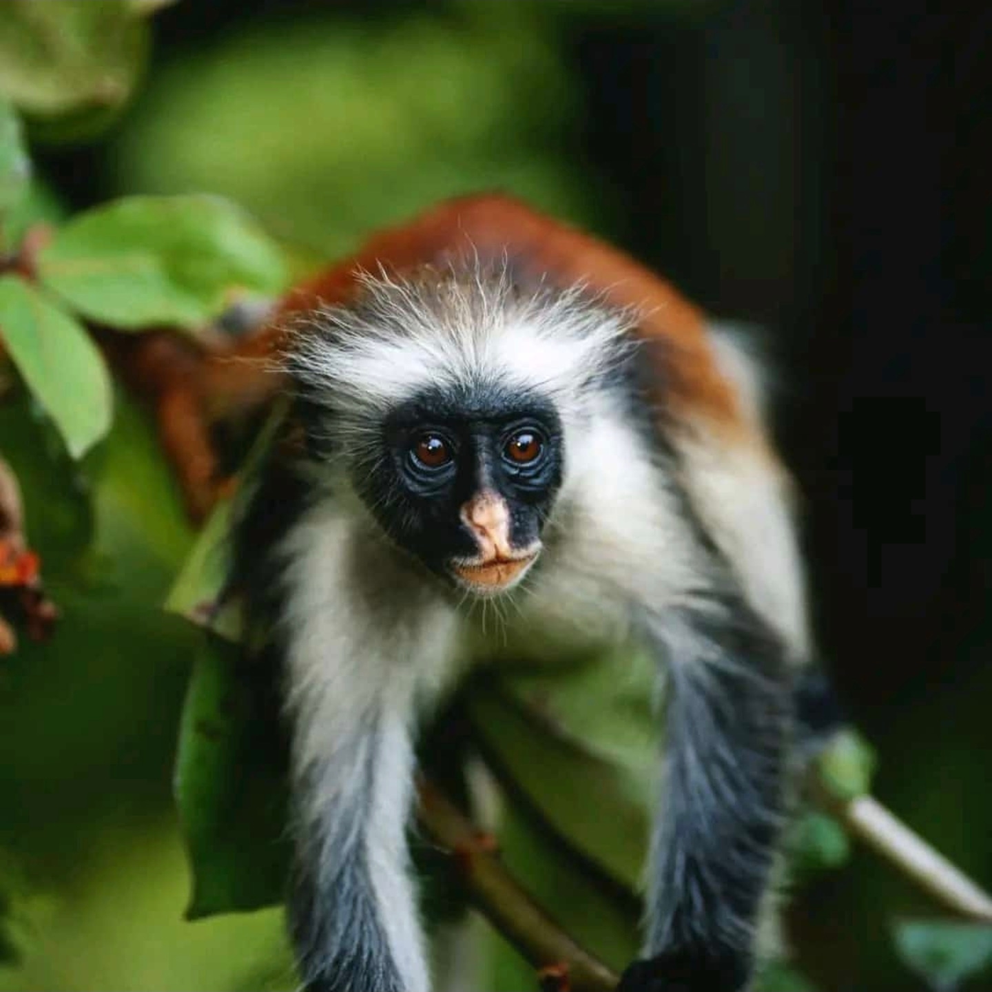 Landbreez Travel&Tour Zanzibar