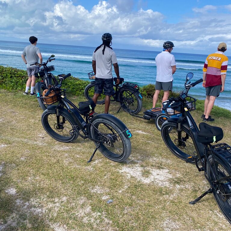 Twin E-bike Tours & Rentals