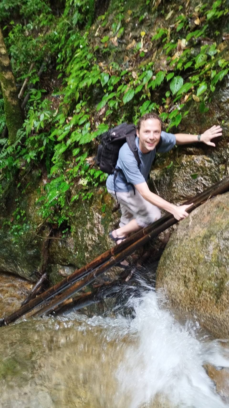 Wild Adventures