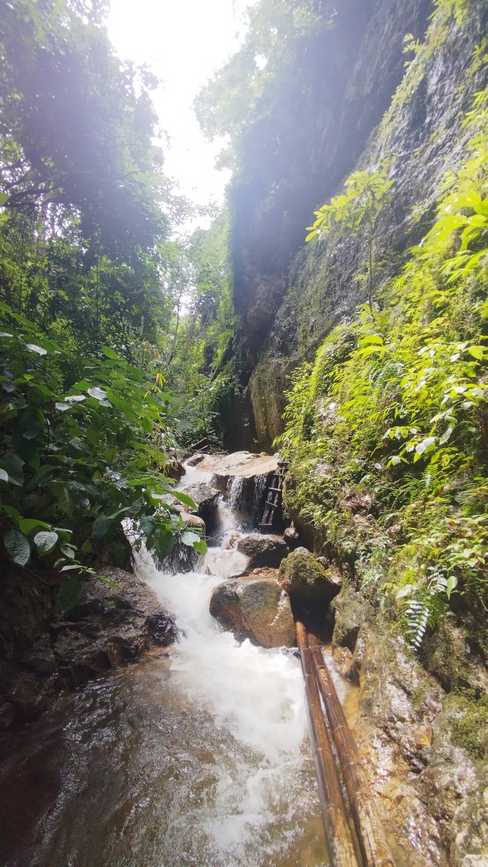 Wild Adventures
