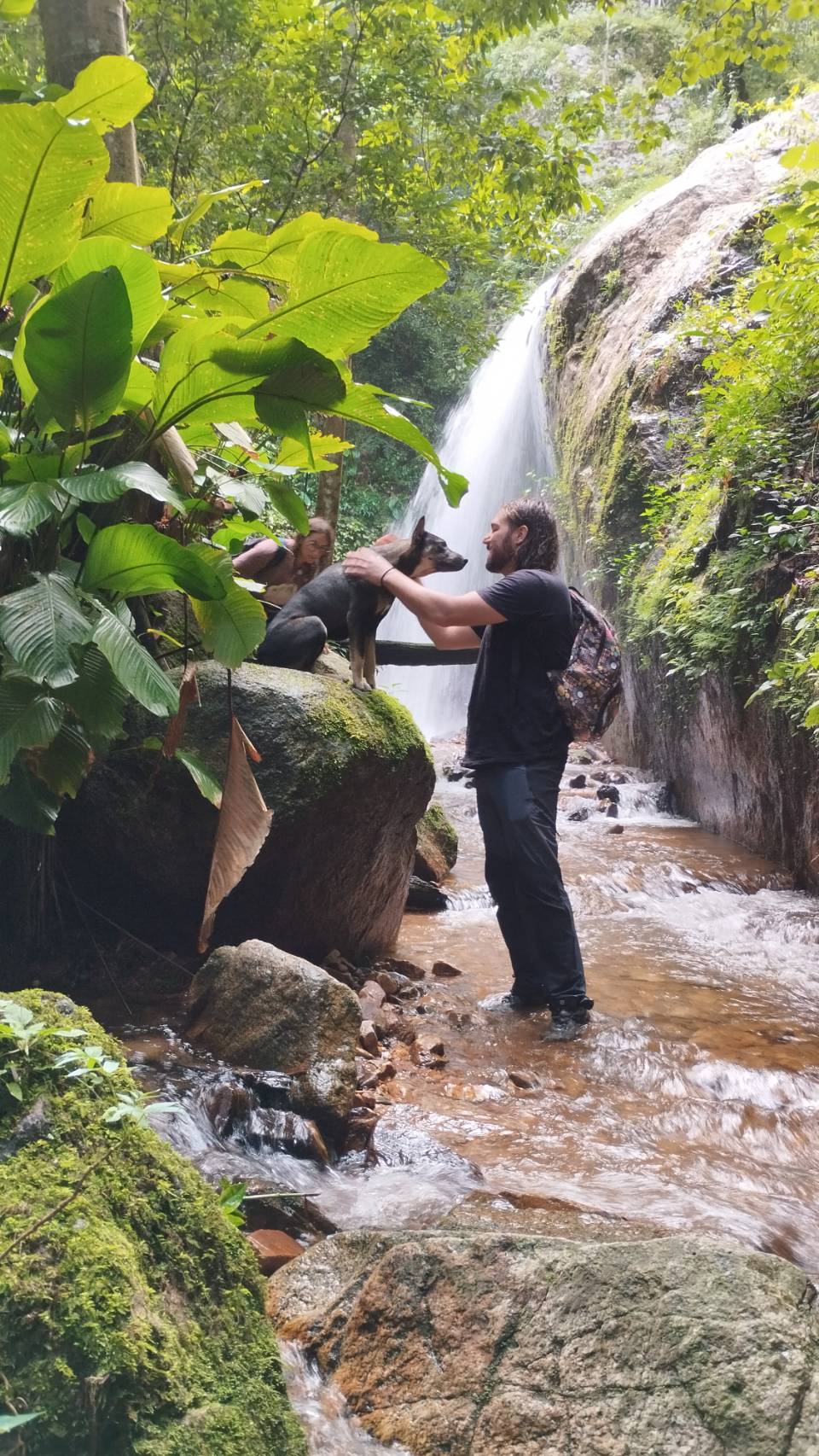 Wild Adventures