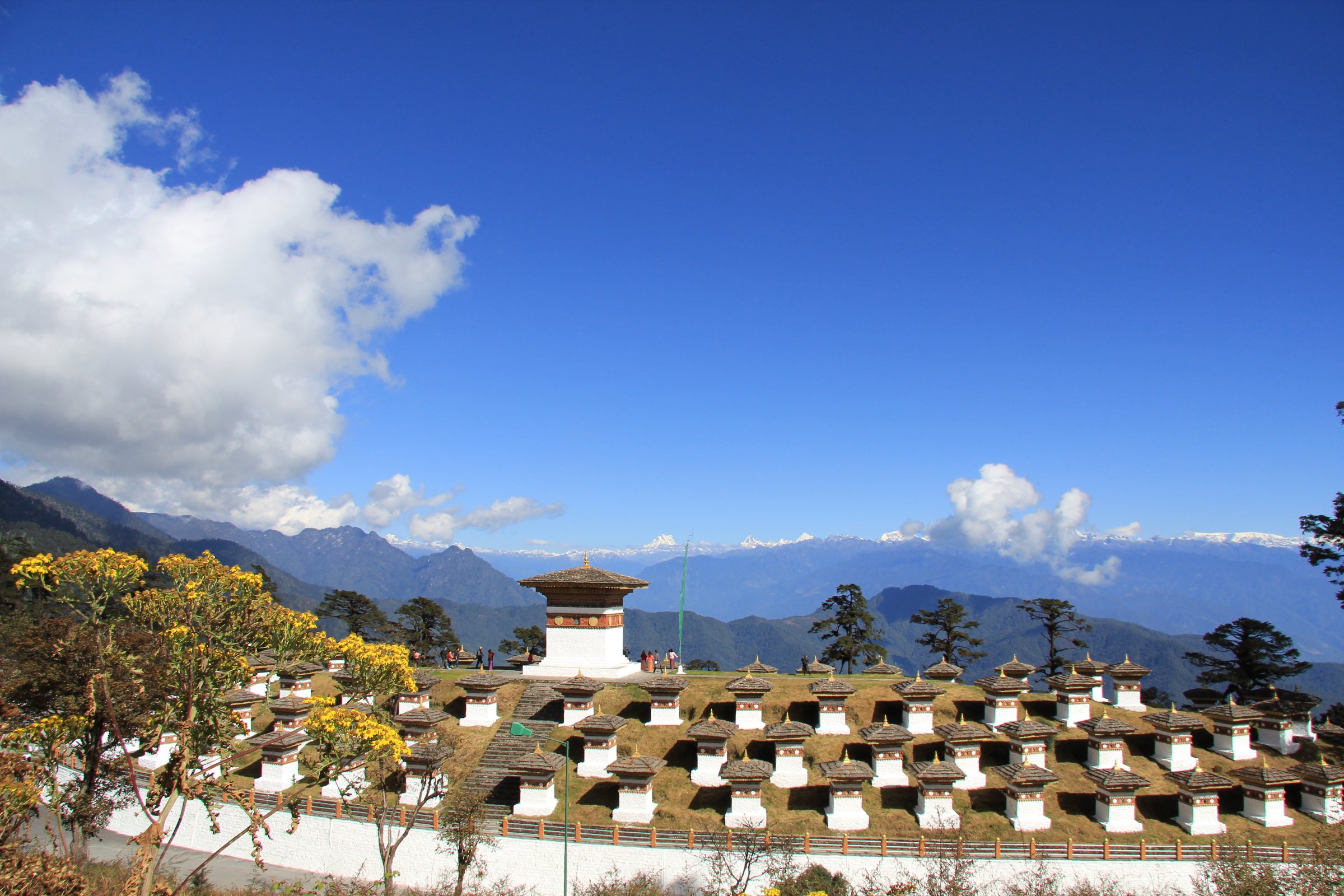 Tiny Bhutan Travels